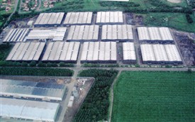 Photo:The bonded warehouses, c. 2005.
